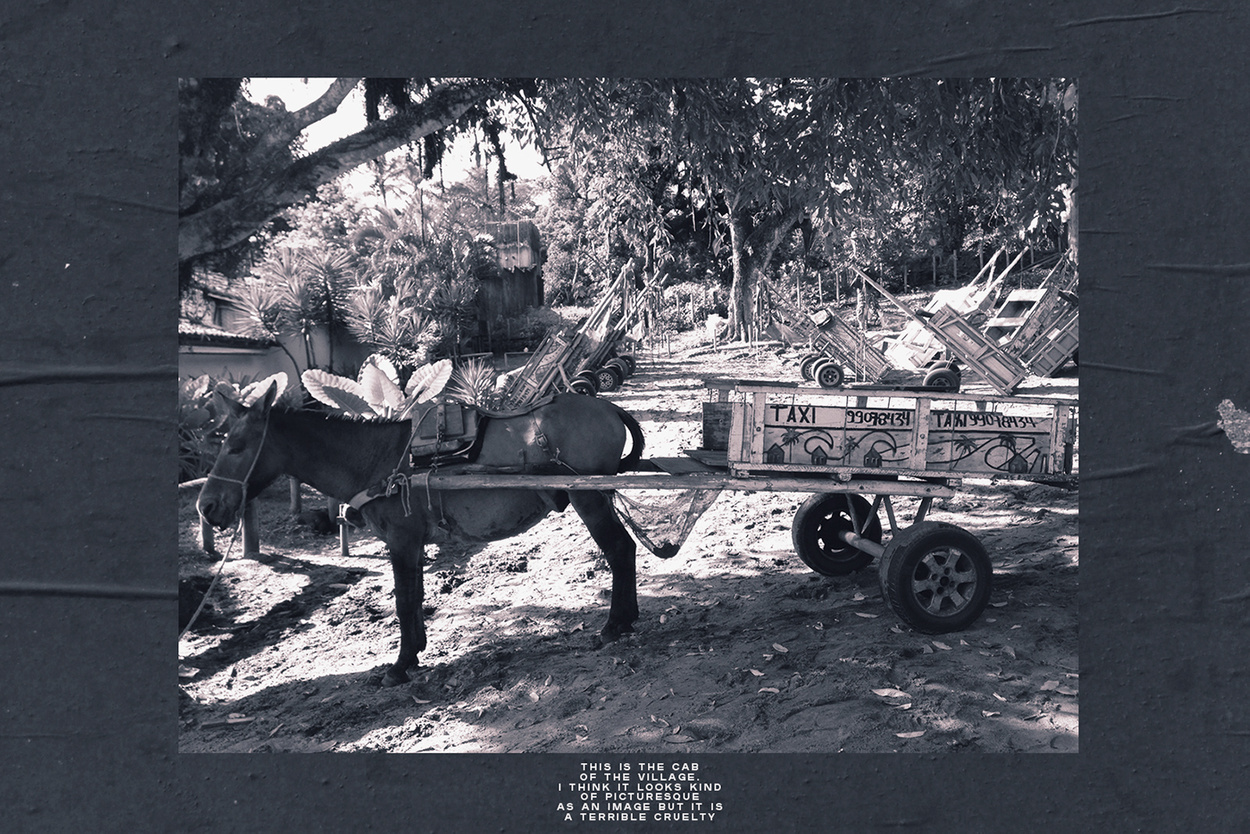 46b19462801947.5a9cd408e9902